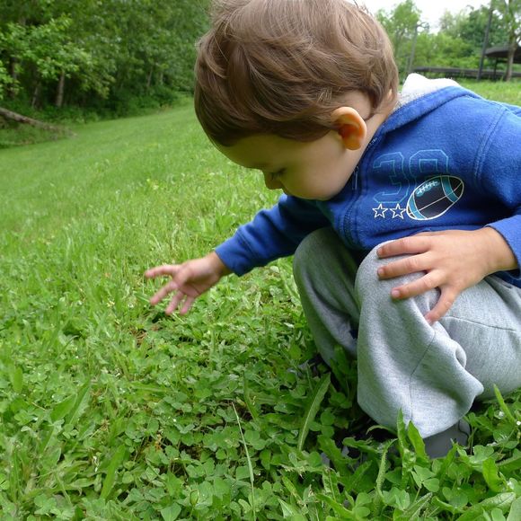 Meet your Posher, Craig - Picture 1 of 1